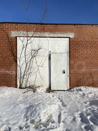 Холодильник склад, 63.8 м²