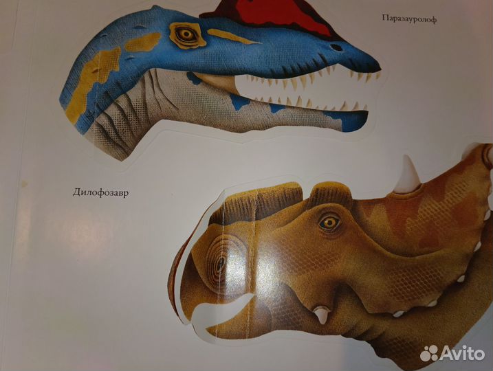 Пито Жерве Дивнозары