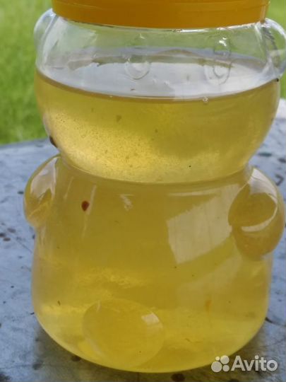 Натуральный Мёд оптом от 100кг.Липа Акация Цветок