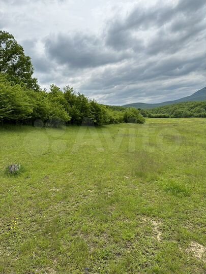 Участок 7,3 га (СНТ, ДНП)