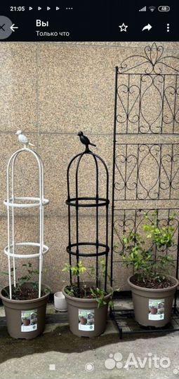 Опора для вьющихся растений, роз, клематисов