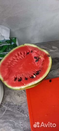 Черлакский арбузы