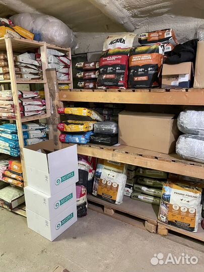 Корм собак Акана acana puppy junior