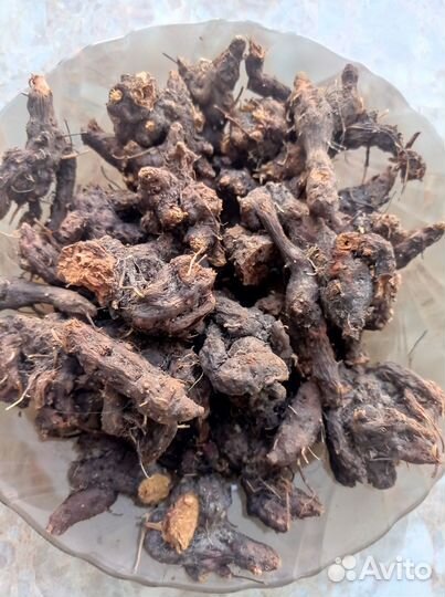 Корень калгана