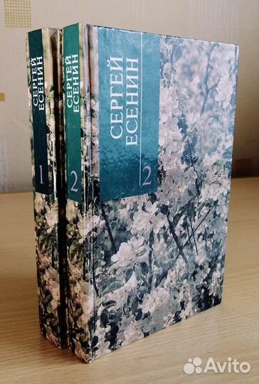 Сергей Есенин двухтомник редкое издание