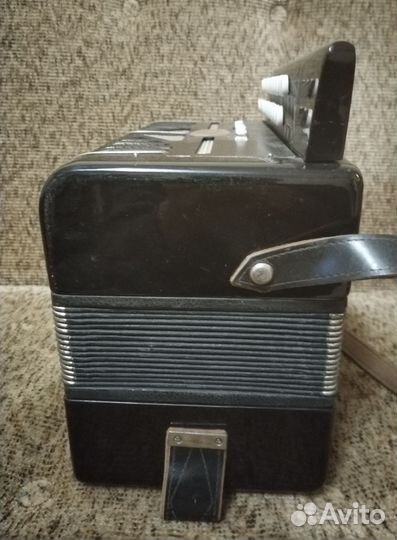 Гармонь Рябинушка