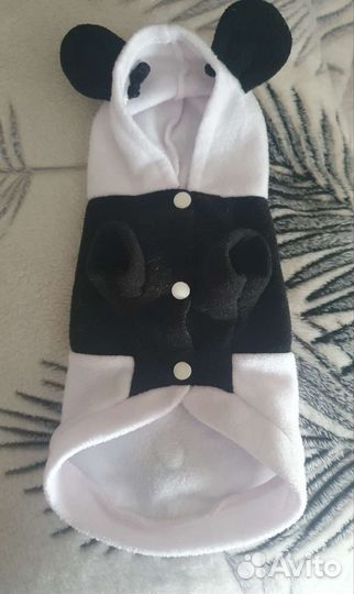 Одежда для маленьких собак