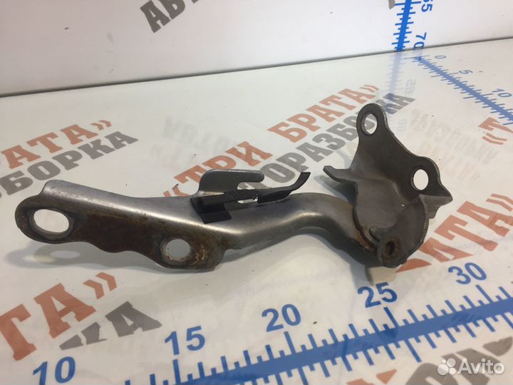 Тойота Королла Петля капота Прав