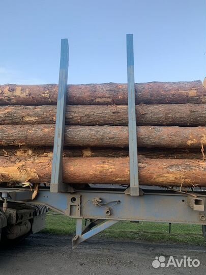 Коники лесовозные