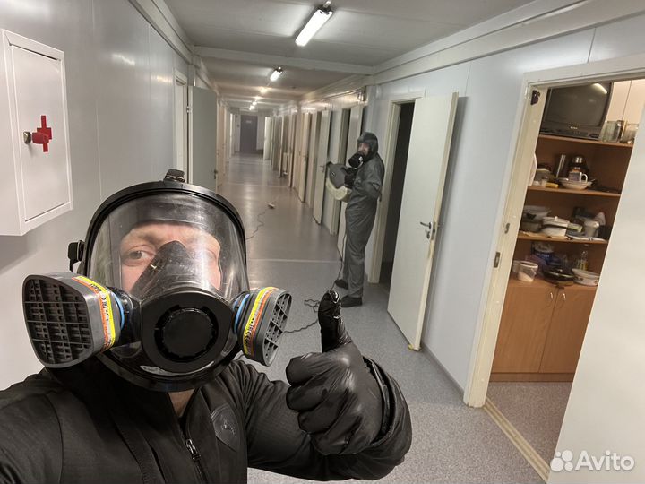 Уничтожение насекомых