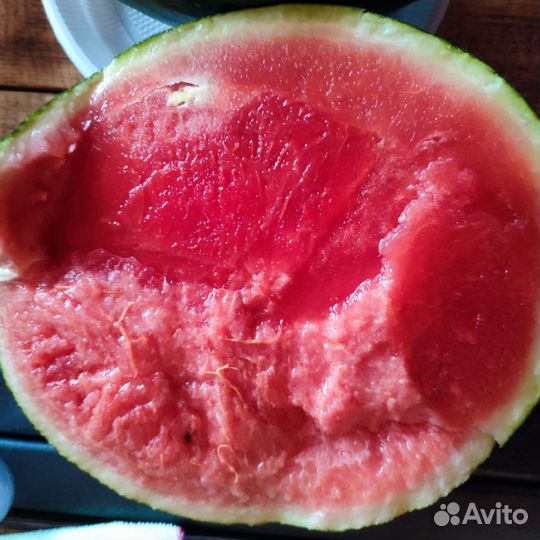 Профессиональные семена гибридов арбуза и дыни