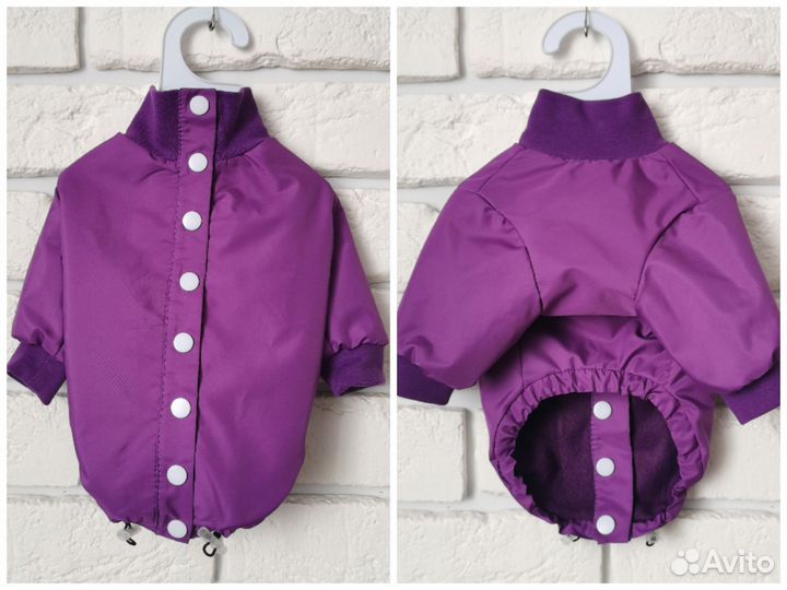 Одежда для собак