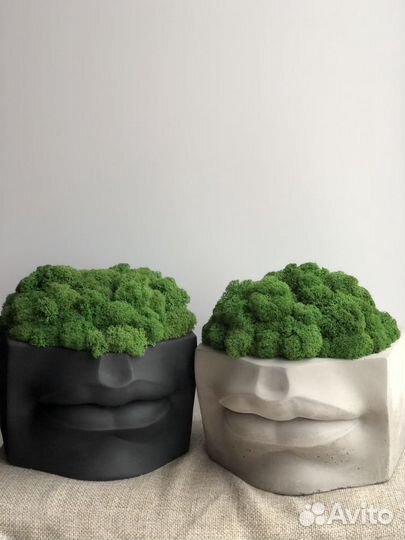Кашпо губы из бетона со стабилизированным мхом
