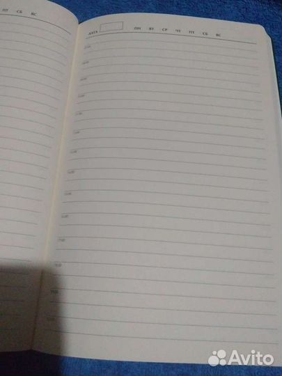 Ежедневник Schneider