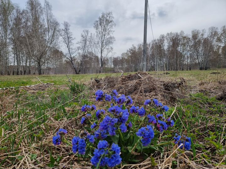 Участок 6,8 сот. (ИЖС)