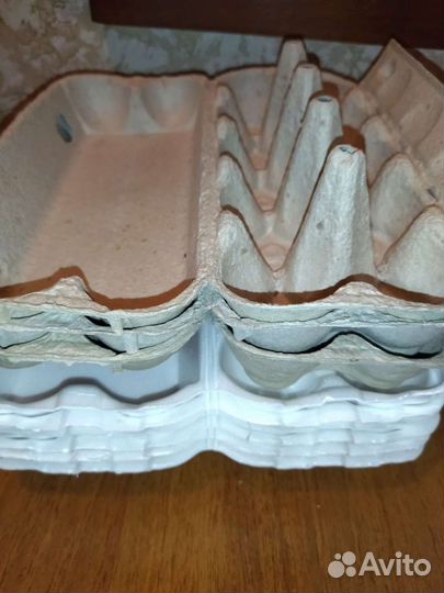 Ячейки для яиц