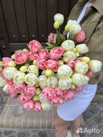 Тюльпаны пионовидные