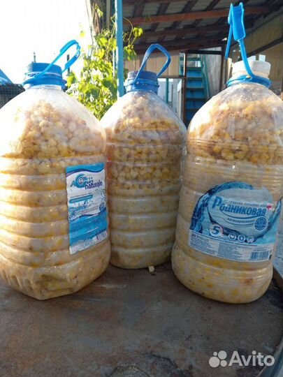 Охота и рыбалка