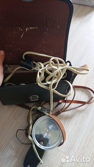 Фотовспышка чайка