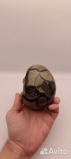 Септария (Яйцо дракона)