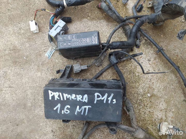 Проводка подкапотная ниссан примера P11