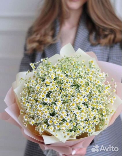 Ромашки Пионы Розы Доставка