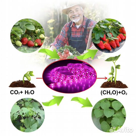 Фито Лента для Выращивания Растений 1m, 3м
