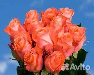 Цветы розы букет