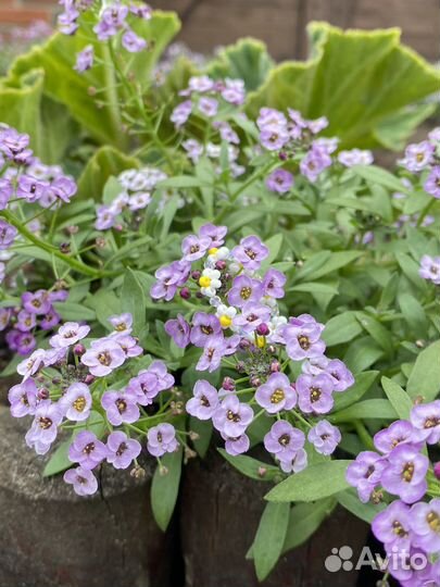 Ручная работа