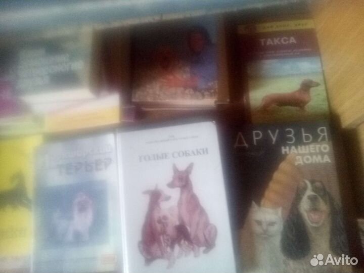 Книги по собачкам и кошечкам и другим животным