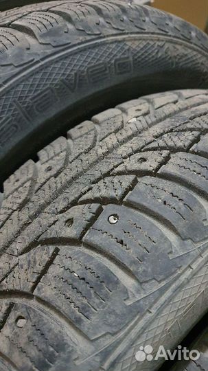 Gislaved Nord Frost 5 175/70 R14