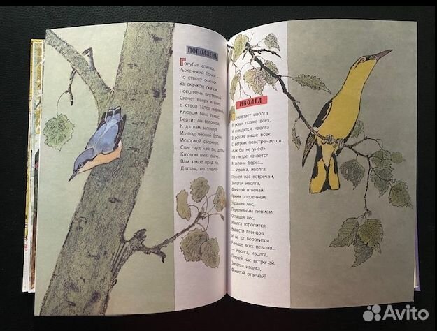 Сказки в рисунках Рачева Е