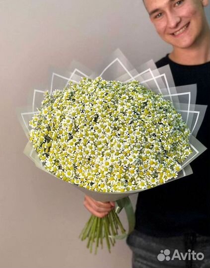 Доставка цветов. Ромашки