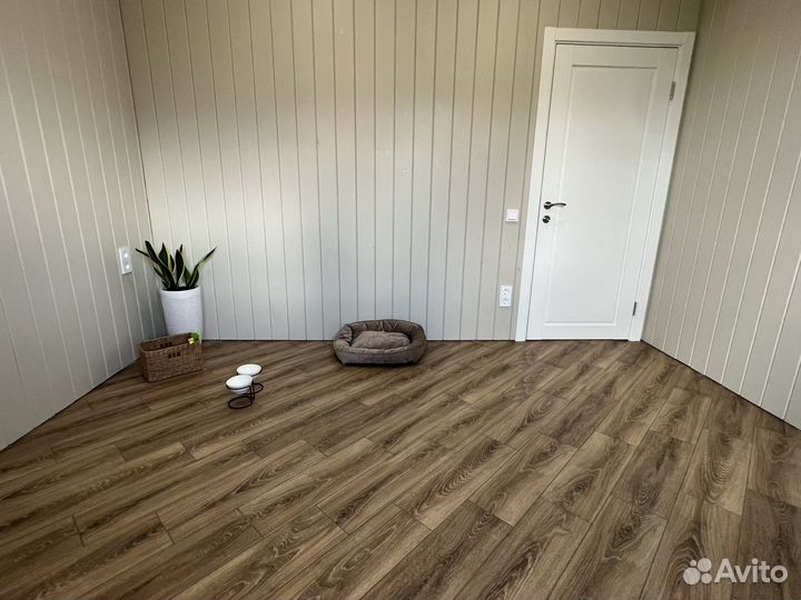 Передержка для собак, Домашняя передержка, Зооняня