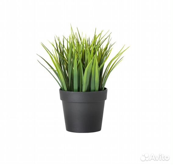 Декоративная травка Икеа Фейка