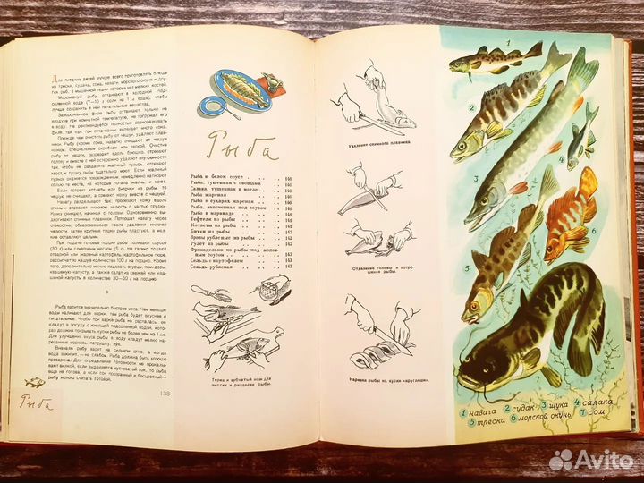 Питание школьника 1959 г