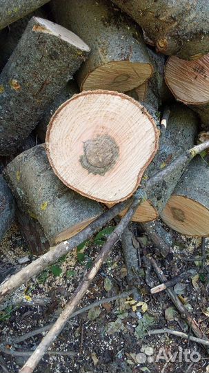Продам дрова