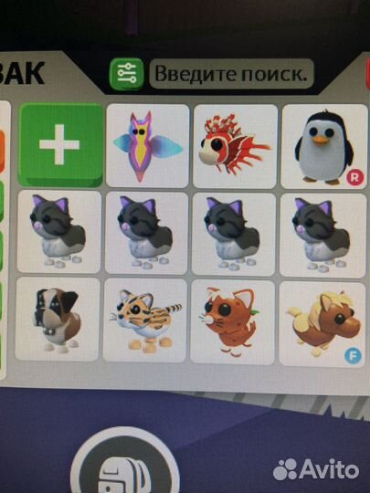 Петы, вещи в адопт ми