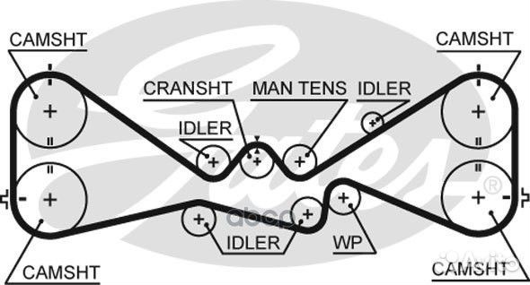 Ремень грм 5612XS Gates
