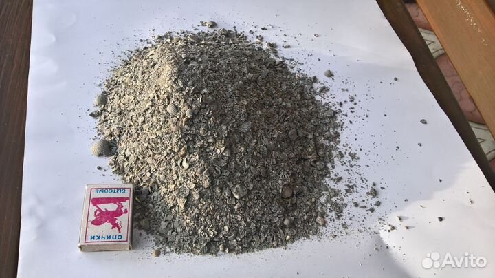 Ракушка кормовая морская