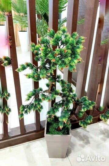 Бонсай ель искусственное дерево растение