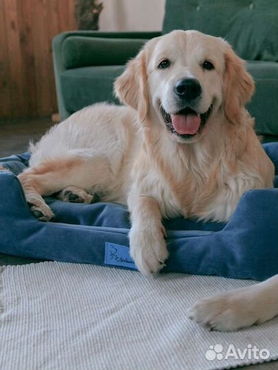 Лежанка для большой собаки