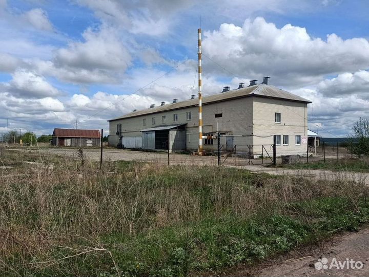 Продам готовый бизнес-забойный цех