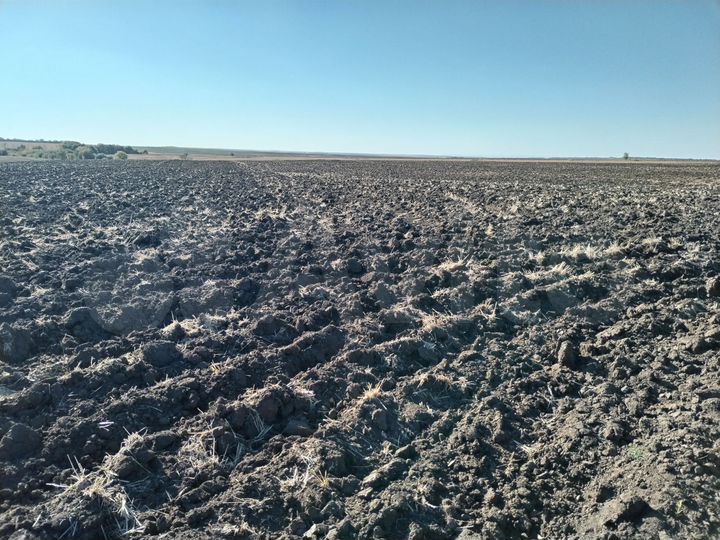 Участок 100 га (СНТ, ДНП)