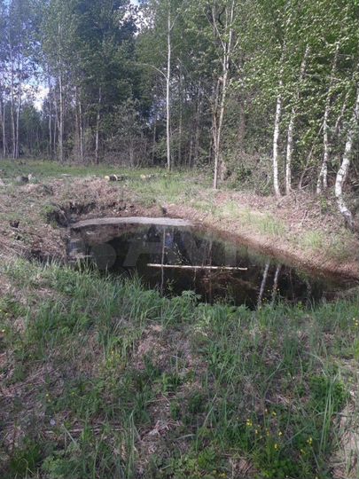 Участок 15 сот. (ИЖС)