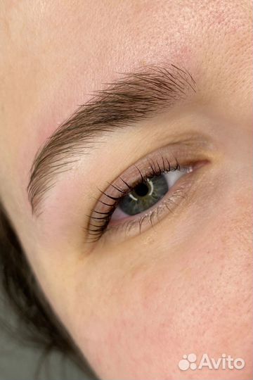 Мастер бровист