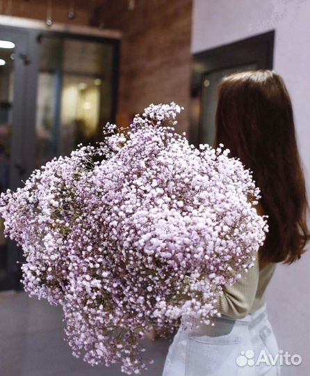 Гипсофила доставка, цветы, букет гипсофилы