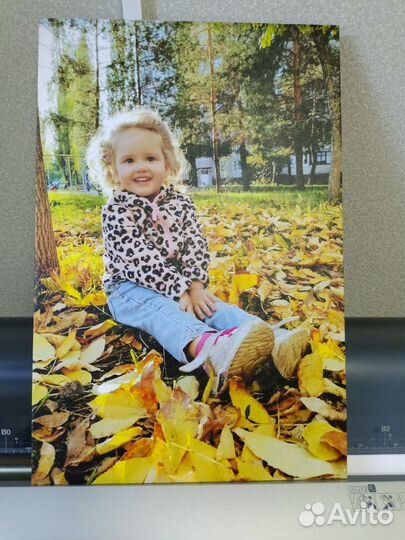 Фото на холсте