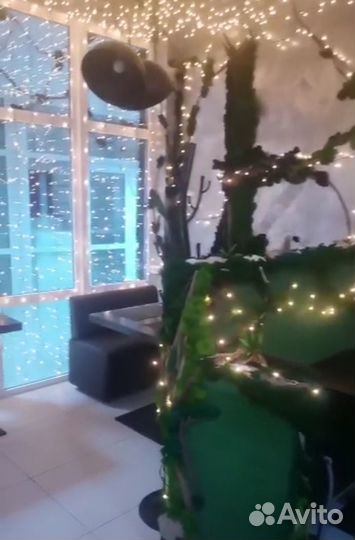 Кафе в центре Сочи