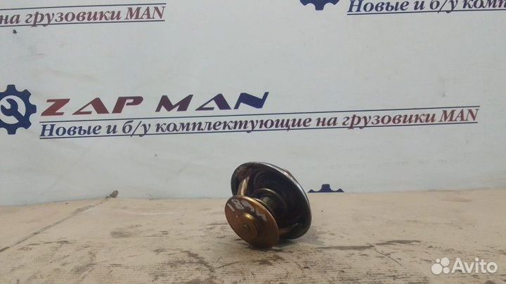 Термостат Man Tga